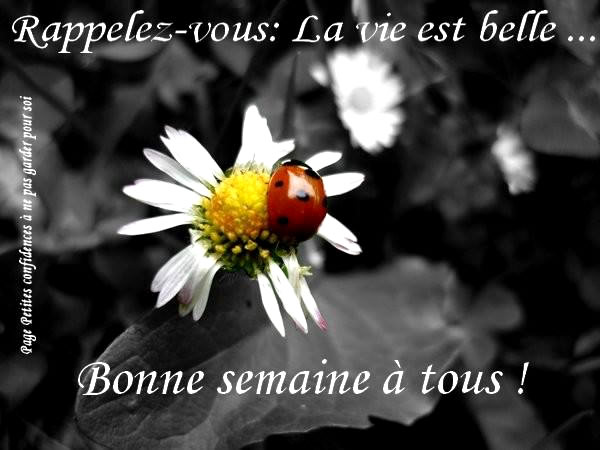 bonne-semaine_005.jpg