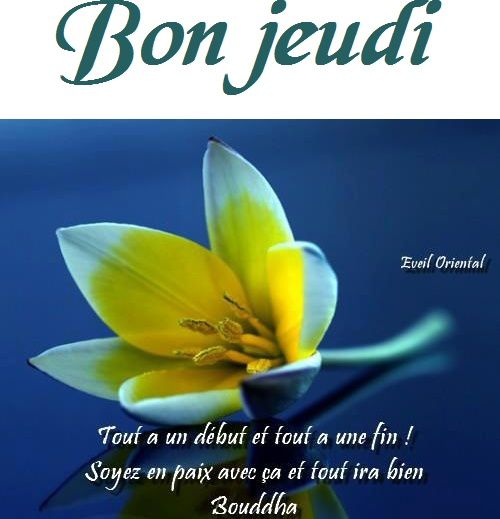 Jeudi 19 Fevrier