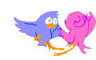 Danse-des-oiseaux.gif