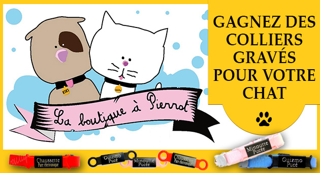 concours-des-colliers-graves-pour-chat-a-gagner.jpg