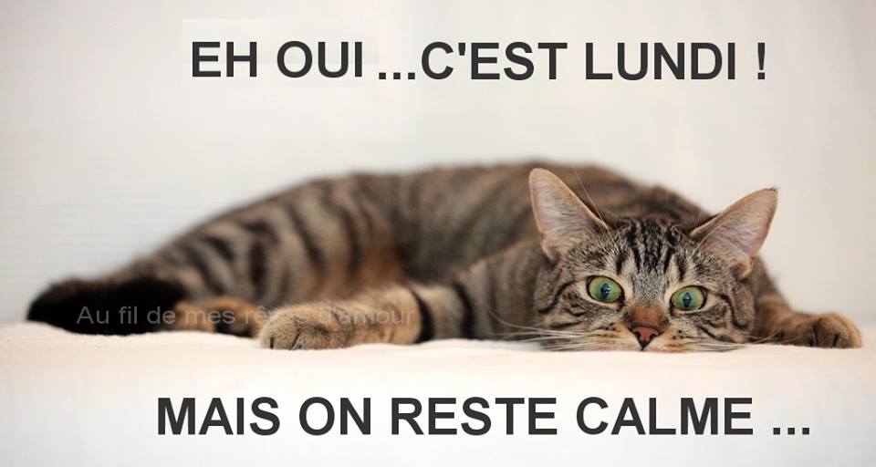 lundi_035.jpg