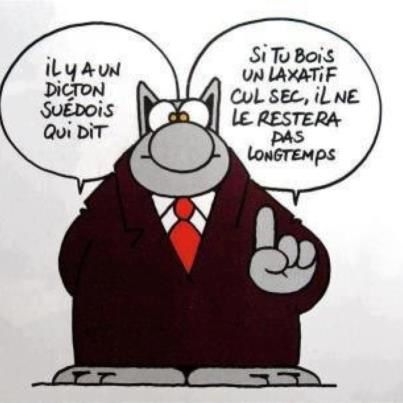 dicton-suedois.jpg