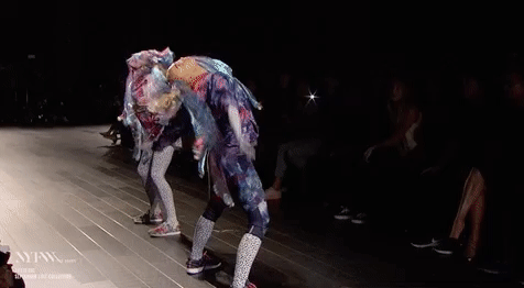 giphy.gif