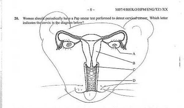 biologie-artistique.jpg