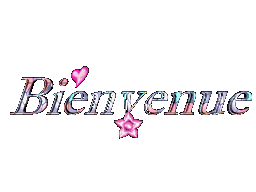 60546078bienvenue-gif.gif