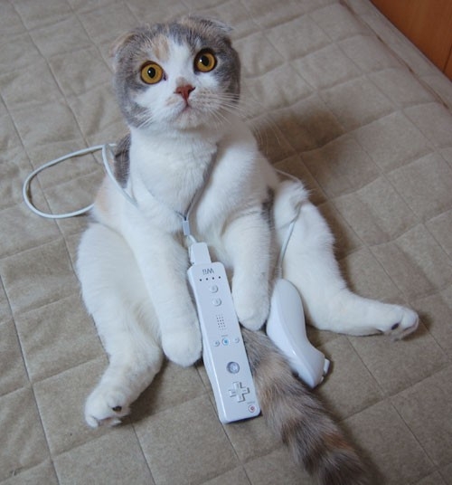 kitty-wii.jpg