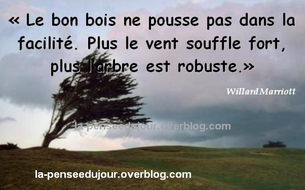 ob_c88e96_citation-willard-marriott.JPG
