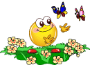 88fbfa3e.gif