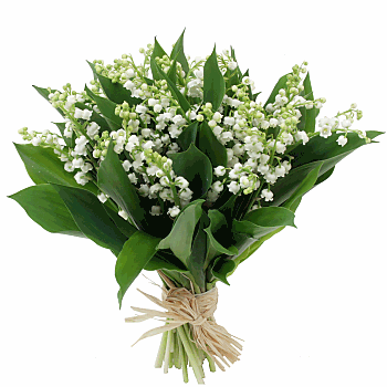 muguet.gif