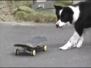 ezgif.com-video-to-gif8-1.gif