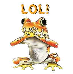 gif%2Bmdr2.gif