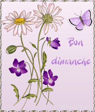 gif-bon-dimanche-fleur-mauve.jpg