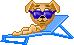 dog43.gif