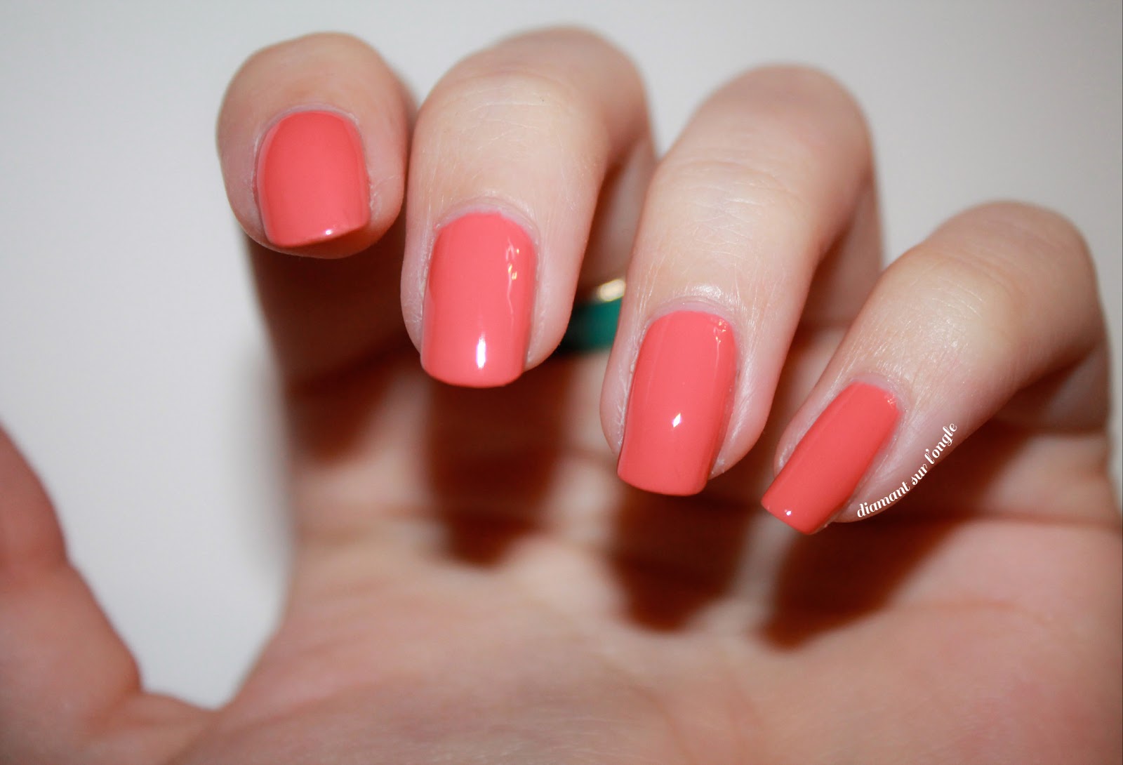 corail1.jpg