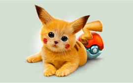 Pokemon-cartoon-Pikachu_s.jpg