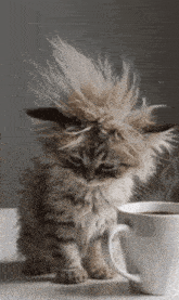 good-morning-beautiful.gif