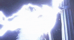 FakeUnrealisticFirefly-max-1mb.gif