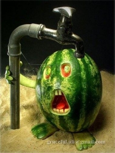 Funny-Food-food-1688538-378-500.jpg