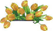 tulipe10.gif