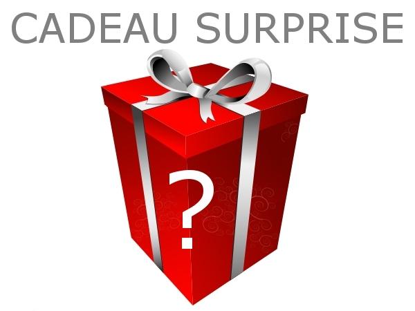 P763_1_CADEAU-SUPRISE.jpg