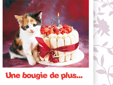 Joyeux Anniversaire Didine Joyeux Anniversaire Didine