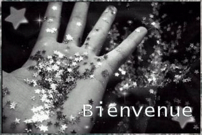 bienvenue.gif