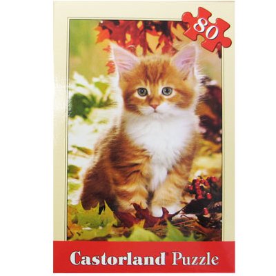 castorland-puzzle-80-pieces---chaton-en-automne.78117-1.jpg