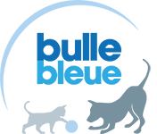 logo-bulle-bleue.png