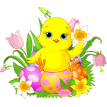 easter-chick-387.png