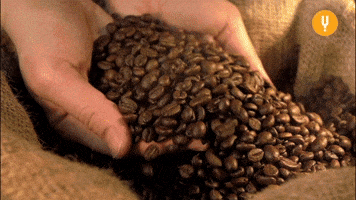 Slow Motion Coffee GIF by CuriosityStream