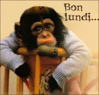 bon-lundi.jpg