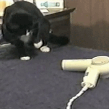 haird-dryers-must-be-destroyed