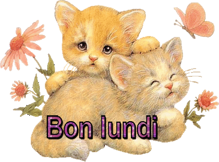 bon-lundi-chats.gif
