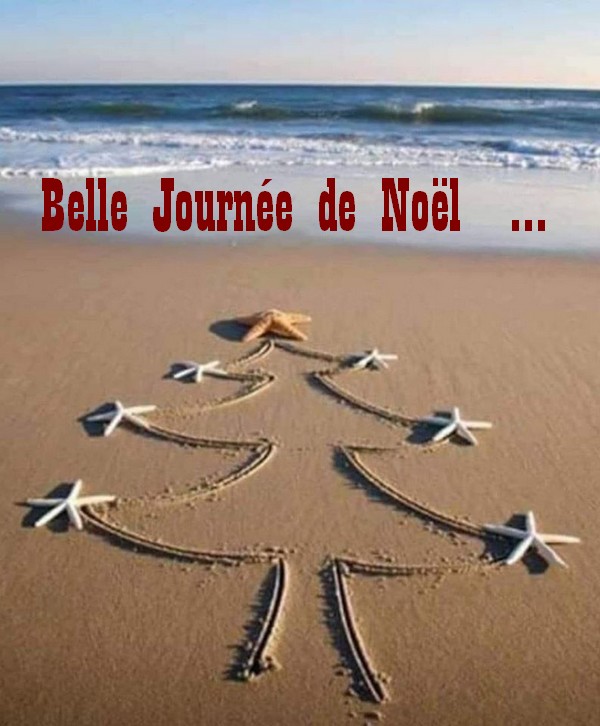 noel2.jpg
