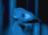 warkcolor.gif