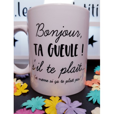 mug-bonjour-ta-gueule.jpg