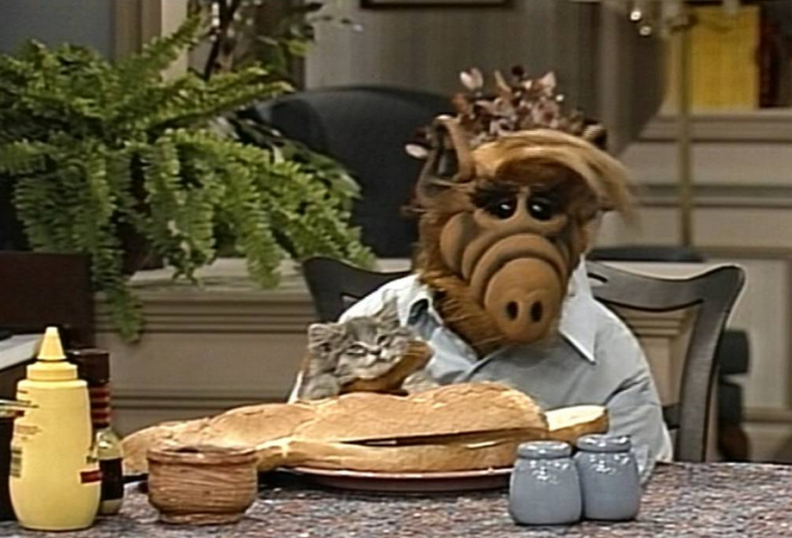 Alf-Chat-720x489.png