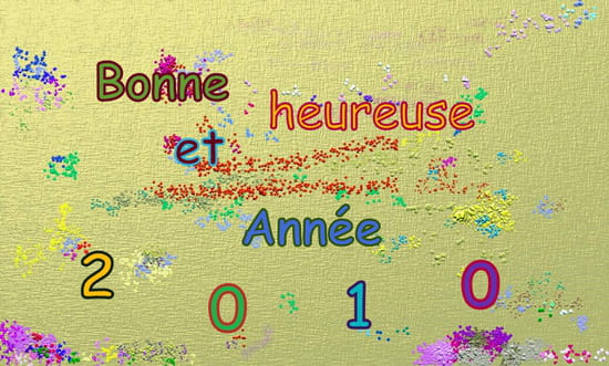 bonne-annee-2010-1315634406-1356330.jpg