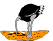 Autruche01.gif