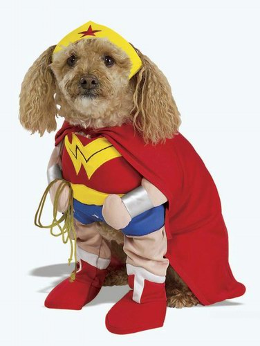 superdog.jpg