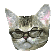 chat-lunettes-2853662bbc.gif
