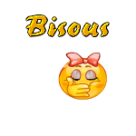25635223bisous-petit-smiley-gif.gif