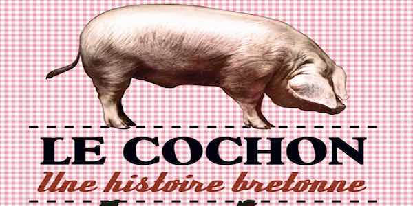 cochon_ecomus%C3%A9e.jpg