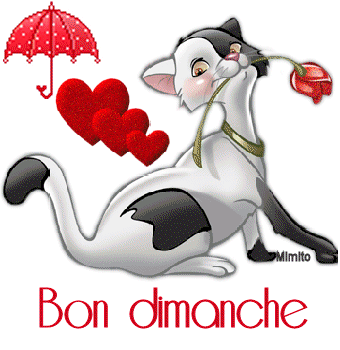 chat-coeu-dimanche-11510ec.gif
