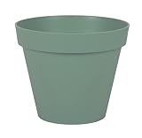 B0BVMWCYZL.01._SL500_.jpg