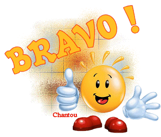 bravo---pouce-en-l-air-547c79.gif