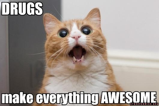 1193-crazy-cat-stoner-comic.png