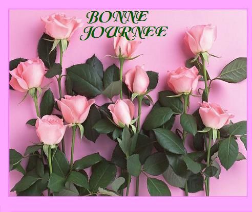 B-bon-journee-roses.jpg