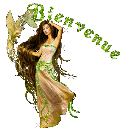 bienvenue1-7b2c05.gif