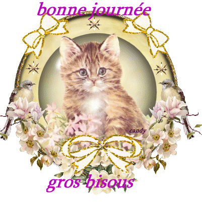 bonne-journee-copie-1.gif